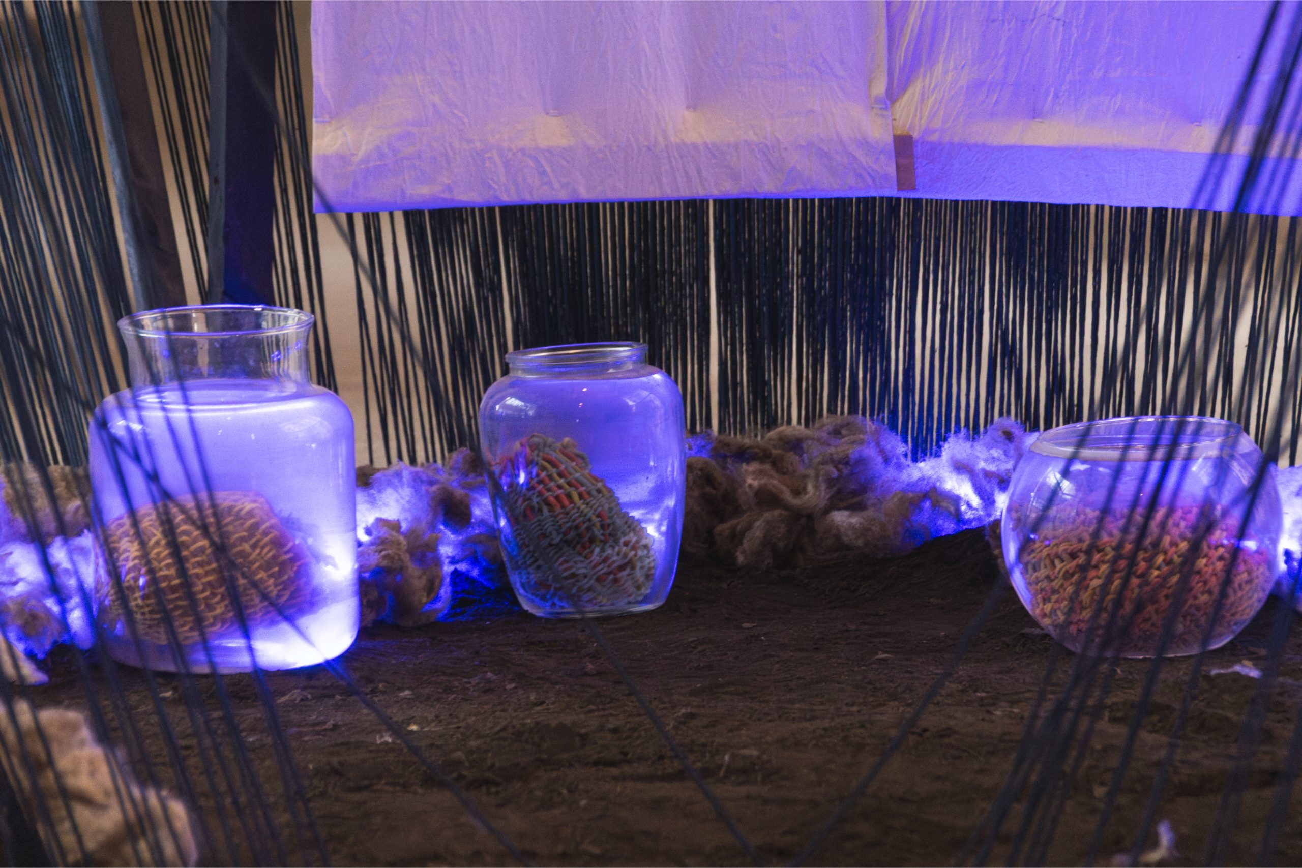 FillkePewmaInstalacion-8